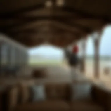 Discover the Luxurious Equestrian Facilities Luxurious equestrian facilities at Al Habtoor Polo Resort