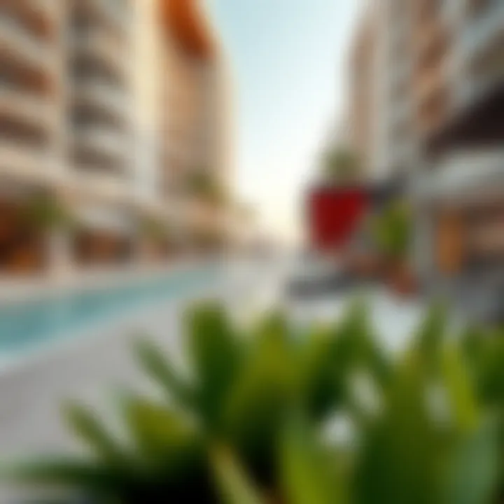 Leisure amenities and vibrant outdoor spaces in Al Mina, perfect for residents.
