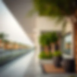 Al Nadha 2: Exploring a Vibrant Community in Dubai's Real Estate Landscape Introduction