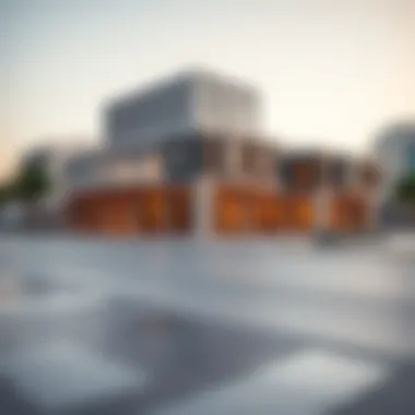 Overview of UAE Banking Institutions