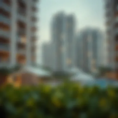 Amenities Overview Group of amenities available in a Dubai apartment complex