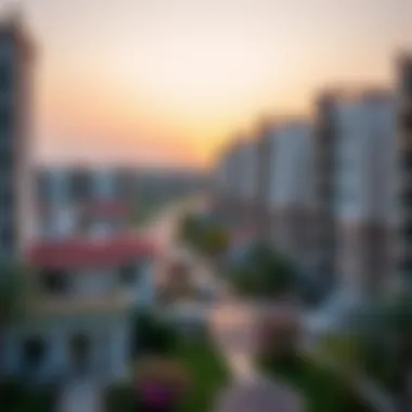 View of Mohammed Bin Zayed City neighborhood