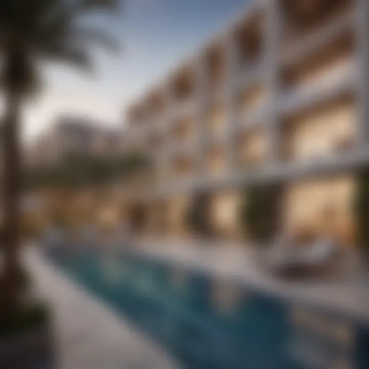 Exploring 1 BHK Options in Liwan: A Deep Dive into Dubai's Real Estate Landscape Summary