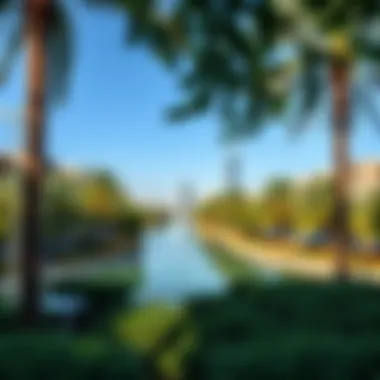 Scenic view of Dubai Creek Park showcasing lush greenery