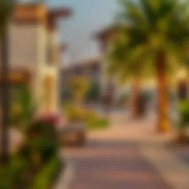 Vibrant community spaces in Al Mirsal