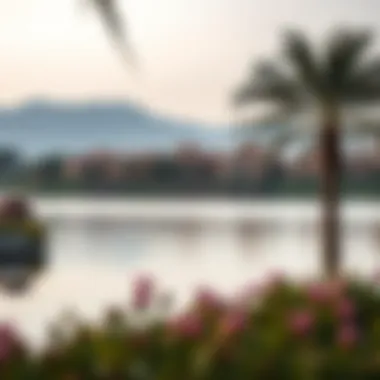 Tranquil lake surrounded by luxurious properties in Emirates Hills