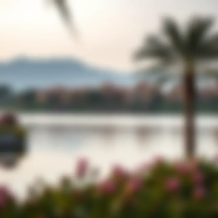 Tranquil lake surrounded by luxurious properties in Emirates Hills