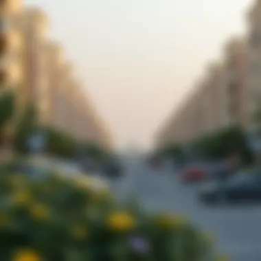 Exploring Jumeirah Park: A Comprehensive Analysis of Dubai's Unique Residential Community Summary Exploring Jumeirah Park: A Comprehensive Analysis of Dubai's Unique Residential Community Summary