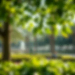 Serene view of Khaleej Al Arabi Park highlighting its lush greenery