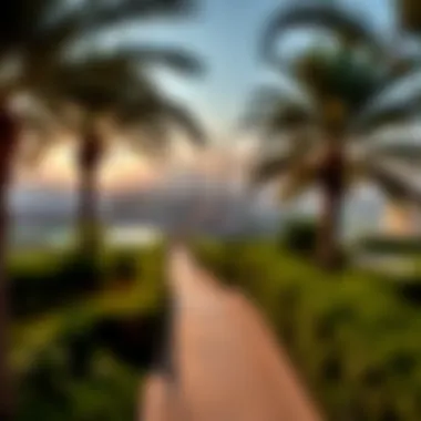 Panoramic View of مبزرة الخضراء Stunning panoramic view of مبزرة الخضراء showcasing lush greenery