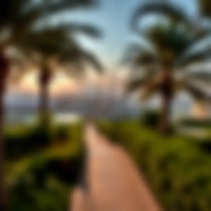 Panoramic View of مبزرة الخضراء Stunning panoramic view of مبزرة الخضراء showcasing lush greenery