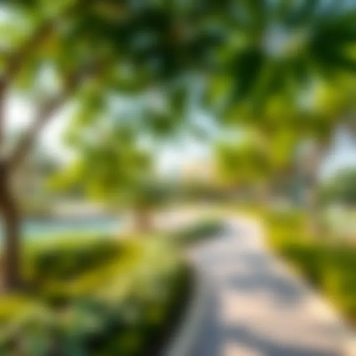 A panoramic view of Mudon Park showcasing its lush greenery and tranquil pathways