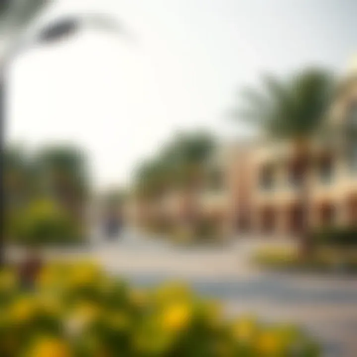 Community park in Muhaisnah depicting neighborhood attributes