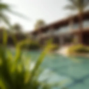 Tranquil Nature Retreat in Dubai Serene nature spot in Dubai with lush greenery and tranquil water