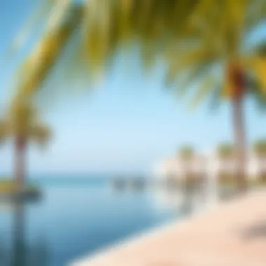 Scenic waterfront view with calm waters and palm trees