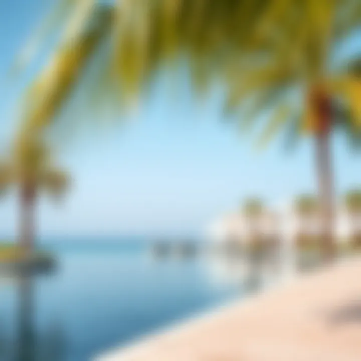 Scenic waterfront view with calm waters and palm trees