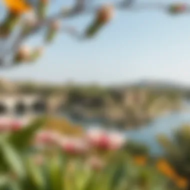 Ecological Diversity Surrounding Qudra Love Lake Ecological features highlighting the diverse flora around the lake