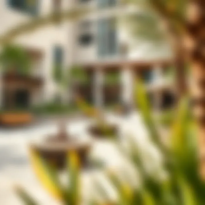 Vibrant community amenities at Rose 1 Emirates Gardens