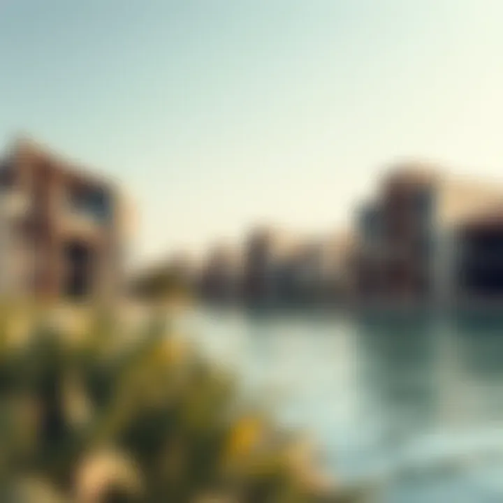 Scenic views surrounding Saadiyat Lagoon Villas