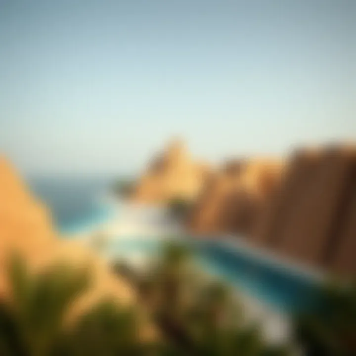 Notable Exploring the Internal Landscape of Palm Island