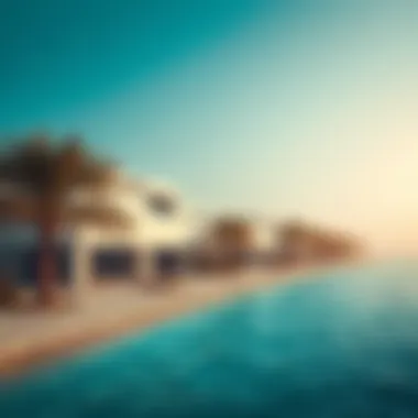 Exploring the Internal Landscape of Palm Island Summary