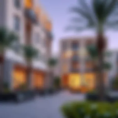Vibrant community spaces within Wasl Properties neighborhoods