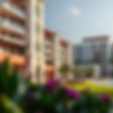 Lifestyle Offerings in Yas Park View Vibrant community lifestyle with recreational facilities