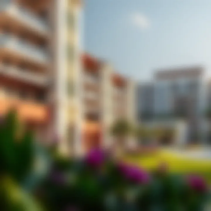 Lifestyle Offerings in Yas Park View Vibrant community lifestyle with recreational facilities