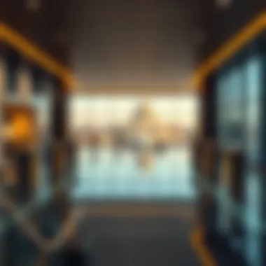 Implications of Expired Visa Status on Travel Consequences of expired visa status