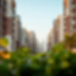 Navigating the Landscape of Affordable Rentals in Dubai Introduction