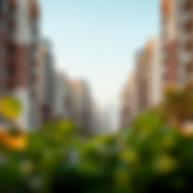 Navigating the Landscape of Affordable Rentals in Dubai Introduction