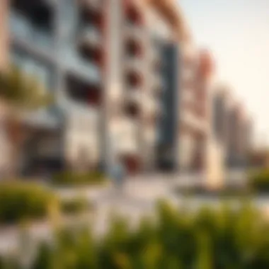 Community amenities at Savanna Emaar, featuring recreational facilities