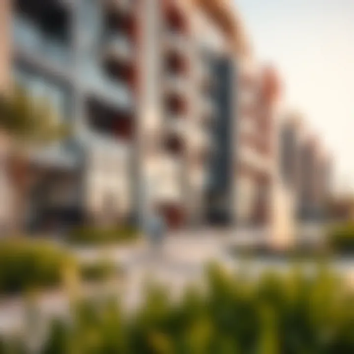 Community amenities at Savanna Emaar, featuring recreational facilities