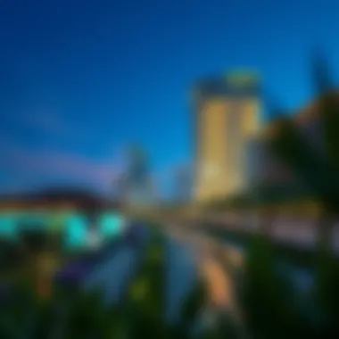 Future growth plans and developments in Silicon Oasis