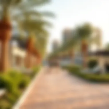 Lifestyle amenities and parks in Silicon Oasis