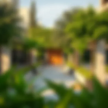 Vibrant outdoor spaces and community life in The Greens