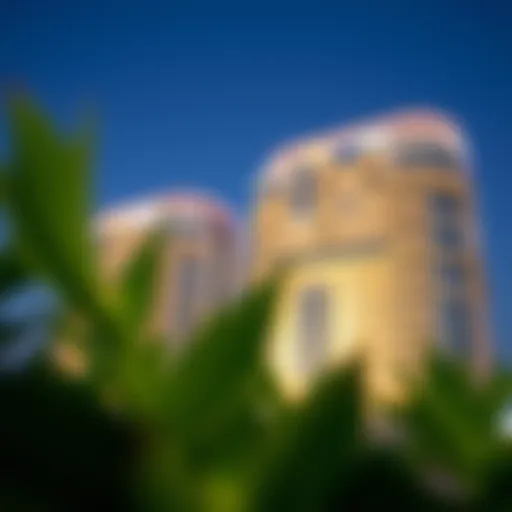 Understanding the Role of Liv Developers in Dubai's Real Estate Market Introduction